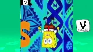Squilliams New Opening To His Channel