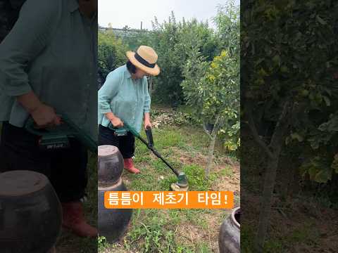 <strong>포브스</strong> 선정 세상에서 가장 부지런한 여성 1위 영자씨😂♥️ #shorts