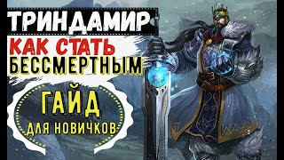 КАК ПОБЕЖДАТЬ НА ТРИНДАМИРЕ?ВСЕ СЕКРЕТЫ/ГАЙД НА ТРИНДАМИРА  Wild Rift/Триндамир Вайлд Рифт/Wild Rift