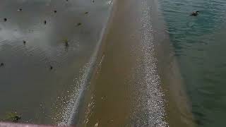 The Buckeye lake Ohio Dam August 24th 2026.