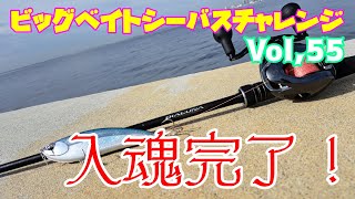 Big Bait Sea Bass Challenge Vol. 55] I cast it with the DIALUNA