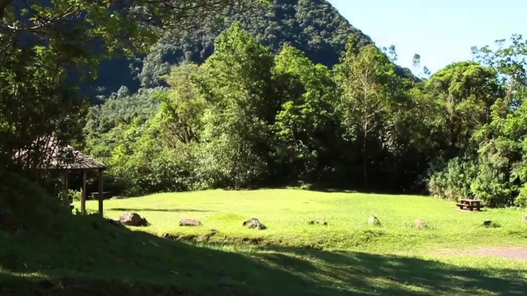 Aire de Pique-nique - Grand Etang