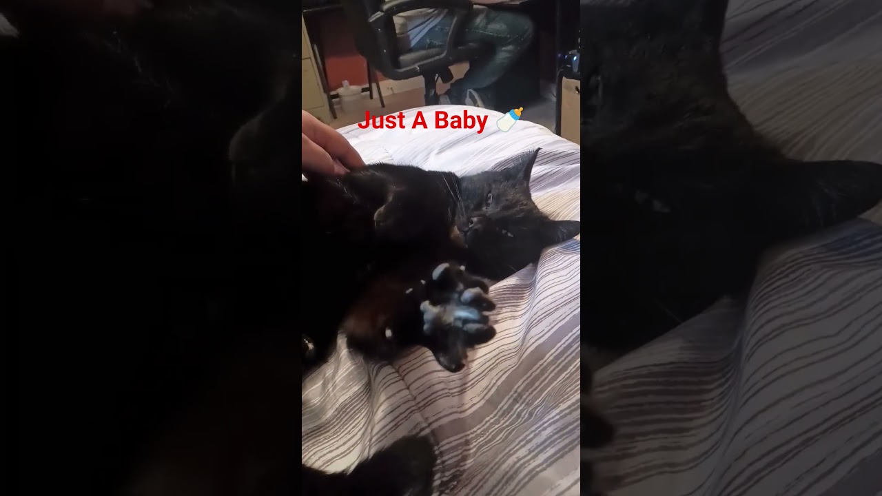 Просто малыш 