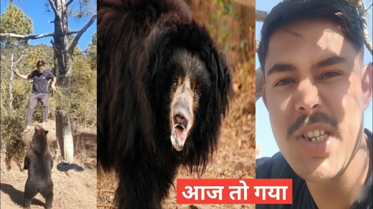 भालू का जानलेवा हमला 😰 आज हम गए 🥺 Uttrakhand Forest Vlog ∆ Vipin Gusain