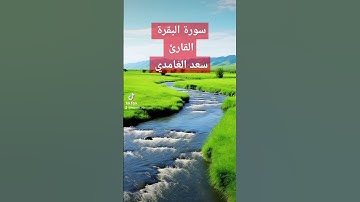 القارئ سعد الغامدي سوره البقره بدون اعلانات #قرآن