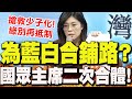 綠營與藍營的選舉策略
