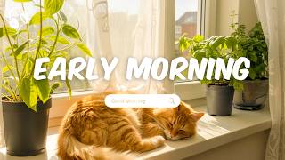 Early Morning 🌞 Soft Chill Vibes For Quiet Early Morning Moments screenshot 4