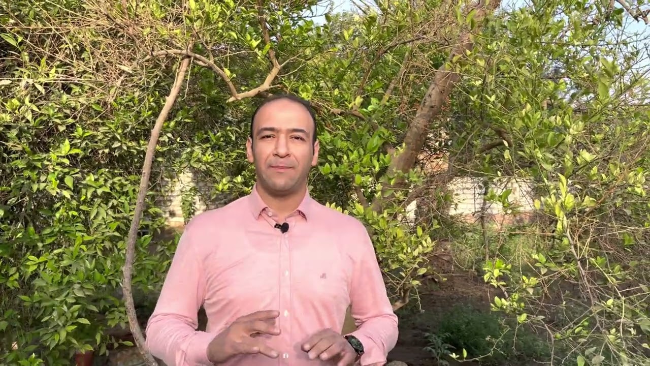 الالعاب الممنوعه لطفلك لو عنده كهرباء في المخ مع الدكتور محمد عبد المعطي استشاري مخ واعصاب الاطفال