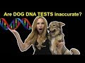 ARE DOG DNA TESTS INACCURATE? - DOG DNA REVEAL