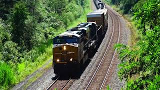 Whoa I Said As I Was Filming Train! Big CSX Train w DPU Alright! Fast BNSF Train! CP Train and More!