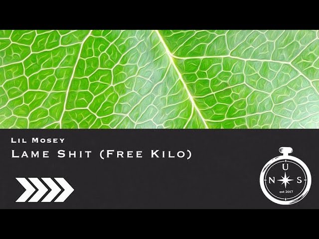 lil Mosey - Lame Shit (Free Kilo) (Prod. Royce David) class=