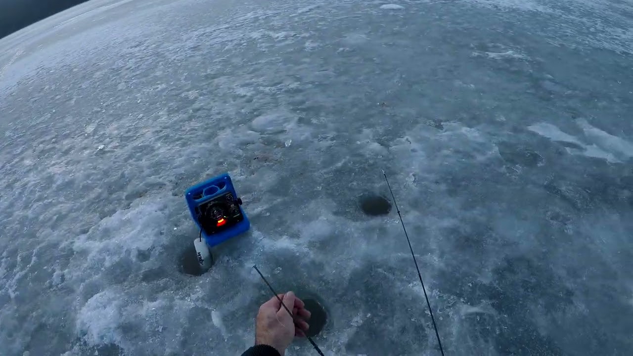 Ice Fishing Sayer's Lake with Harry Again.