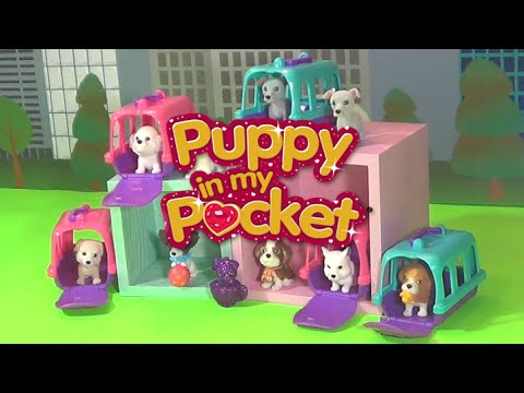 Puppy in My Pocket Puppy Series 2! - YouTube