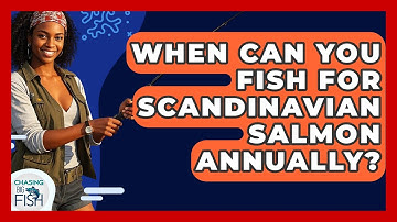 When Can You Fish For Scandinavian Salmon Annually? - Chasing Big Fish