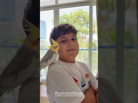 Joelle Mardinian (@joellemardinian) archived Instagram Stories compilation from May 10, 2026