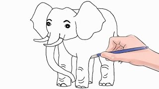 How to Draw an Elephant Easy Step by Step How to Draw an Elephant Easy Step by Step