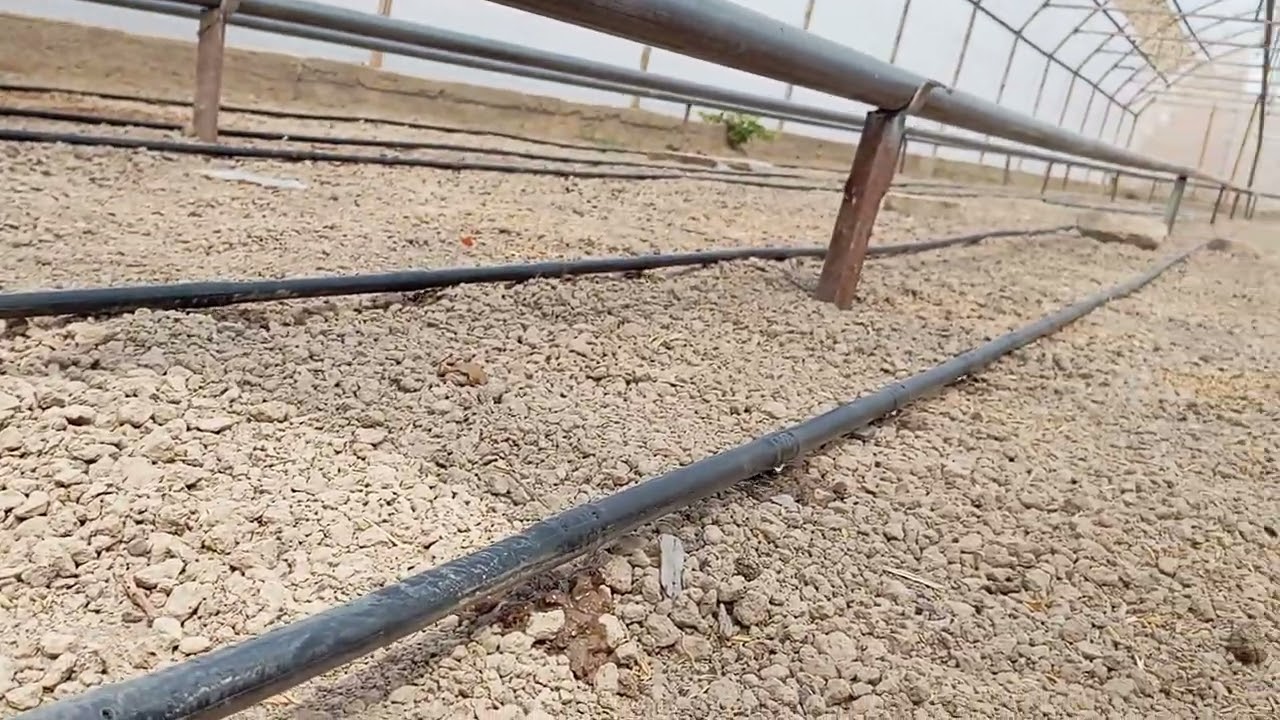 Issiq xona tomchilatib sug‘orish