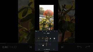 edit flower natural video by VN editor.👍 tutorial  share this video 😉 screenshot 5