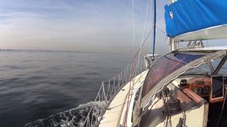 HOTA Cruising Day 2 20161205