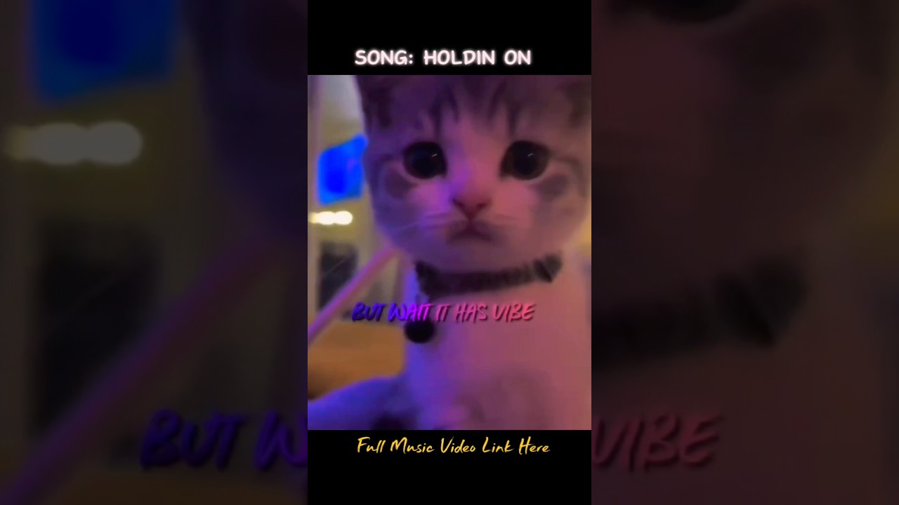 Holdin On (Official Music Video) Full Music Link In Description #shorts #holdinon