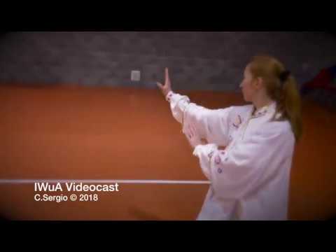 Accademia Italiana Wushu e Taiji - YouTube