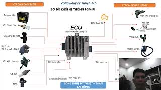 Liệt Kê Những Nguyên Nhân Làm Chết ECM - Toàn An Đồng.