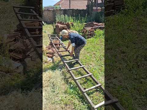 😳 Pitao sam babu za šta služe merdevine 🪜... njen odgovor me je iznenadio 😂