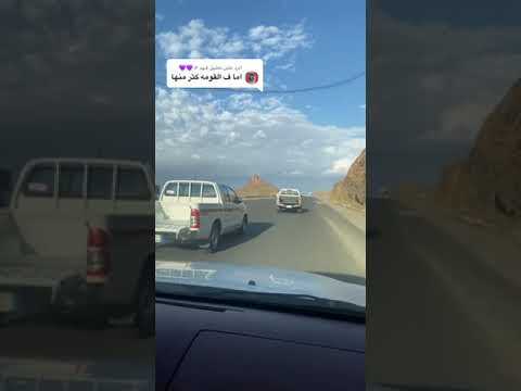 سباق هايلكسات مع ديماكس