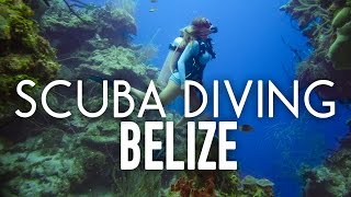 Scuba Diving The Blue Hole and Barrier Reef in Belize