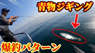 【瀬戸内海】TGベイトの最強メソッドでボッコボコに釣りまくり！！