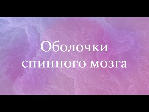 Оболочки спинного мозга - анатомия центральной нервной системы (ЦНС)