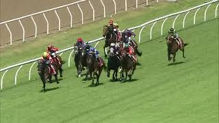 Race 3 92.7 MIX FM'S COUNTRY HEIST BENCHMARK 58 HANDICAP 1300M Sun 27 Nov 2022 Sunshine Coast Soft 7 screenshot 1
