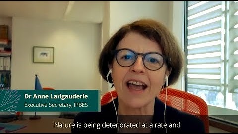 Highlights video - introducing BfNs position on the Post-2020 GBF