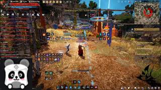 NW marsmallow 24/01/2021 6 fort Wizard Succession