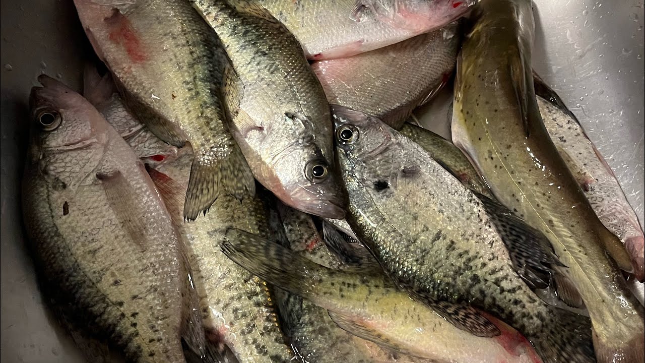 Traveling 🧭 going fishing 🎣 with mike Kentucky