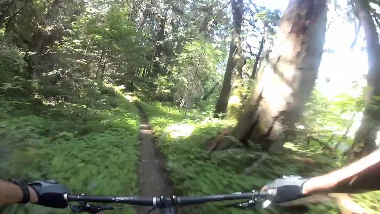 Middle Fork of the Willamette Trail