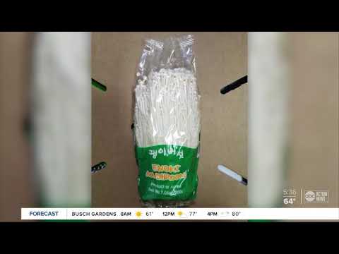 Enoki Mushroom Death