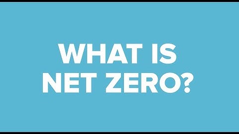 What does net zero mean for the project profession?