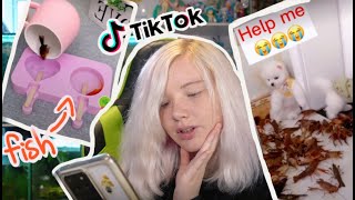 Tiktok Animal Abuse Has Gone Too Far