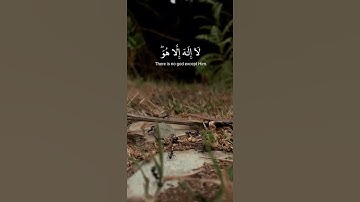 قرآن كريم آيات تشرح الصدور |#آية #اية_الكرسي #قران_كريم #دعاء #حلب #دعاء_مستجاب