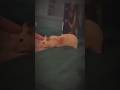 2_minutes_short
