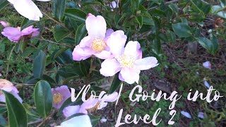 VLOG | Going into Level 2