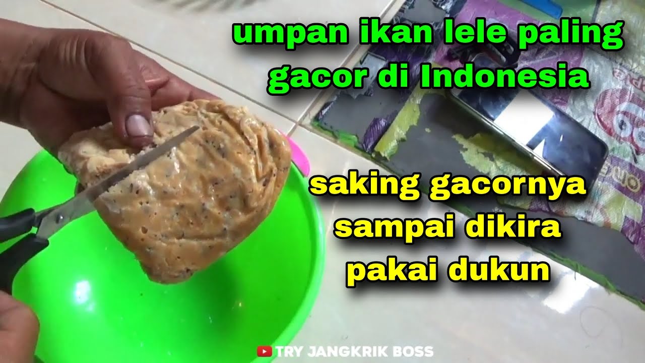 racikan umpan lele babon susah makan paling ampuh untuk Galatama, harian maupun liar #38