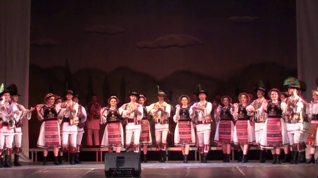 Doina Timisului 55   Partea a cincea