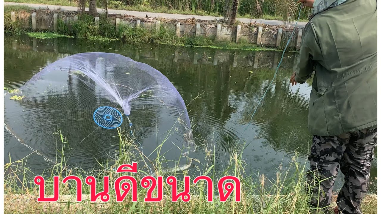 #แหอัจฉริยะหว่านง่ายแค่ร่อน