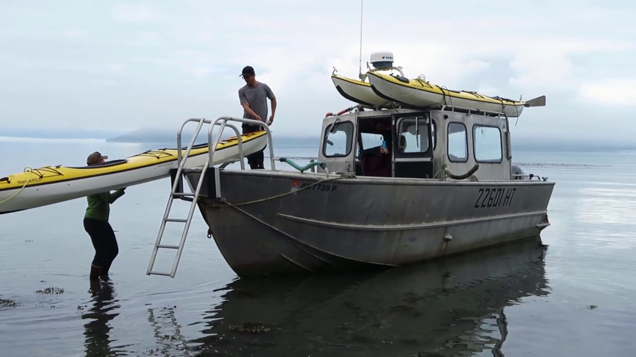 Kayak Alaska (Gustavus, Glacier Bay, Chichagof Island) YouTube