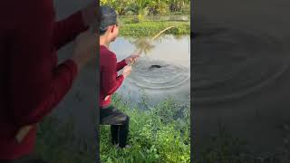 Download Lagu VIRAL BEAUTIFUL WOMAN FISHING AND CATCHING BIG FISH FISHING MANIA, GREAT MP3