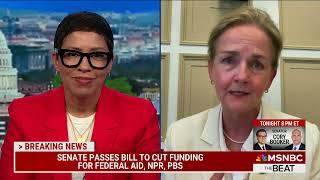Congresswoman Dean Defends Public Broadcasting Amidst House Republicans' Defunding Efforts