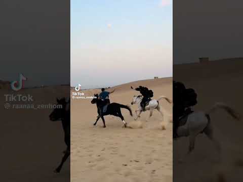 قوي قلبك حب وغامر