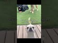 bro will never trust on humans